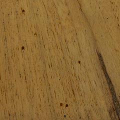 Civico 12 - Special Wood 14