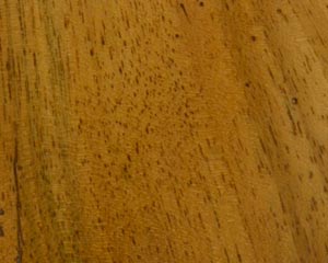 Civico 12 - Special Wood 15