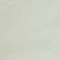 Civico 12 - Leather 93