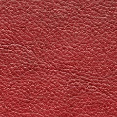 Civico 12 - Leather 98