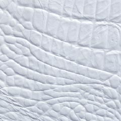 Civico 12 - Leather 99